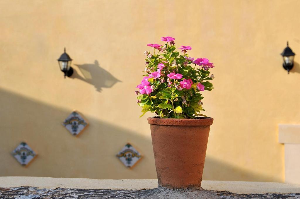 Il Giardino Del Barocco Bed and Breakfast Noto Eksteriør billede
